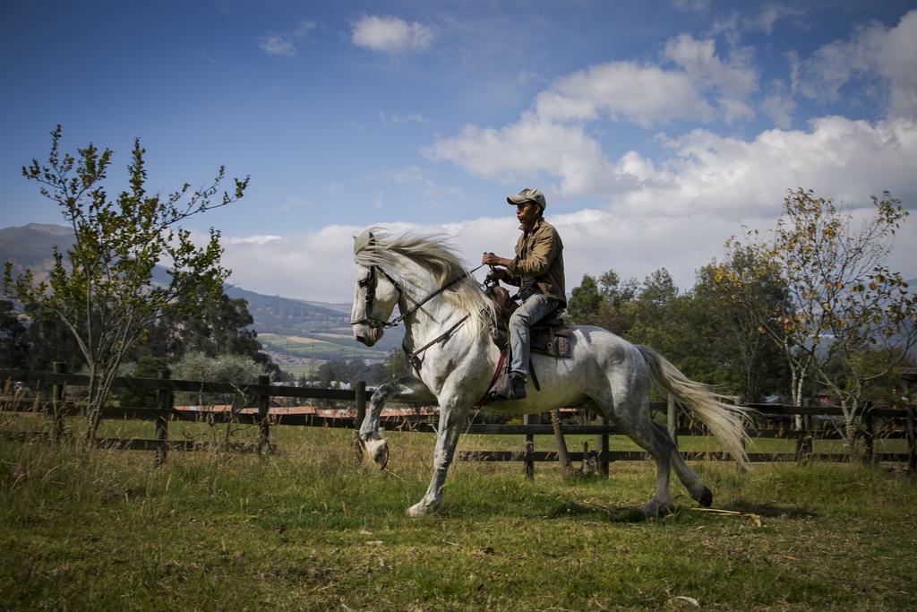 Hacienda Hosteria San Luis Cayambe Esterno foto