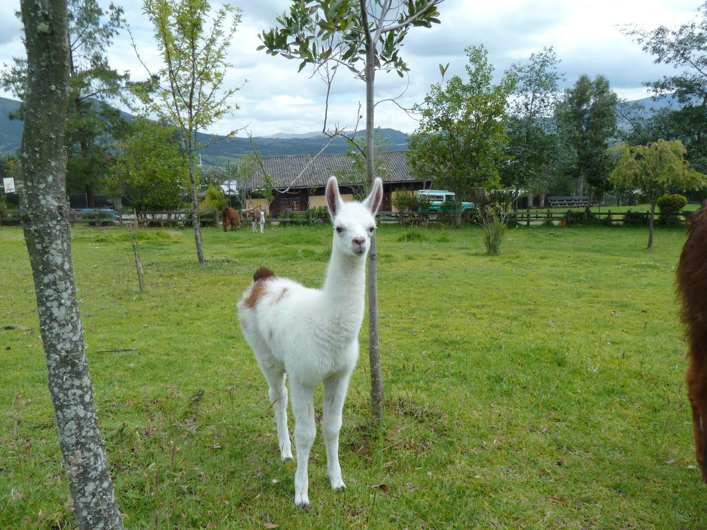 Hacienda Hosteria San Luis Cayambe Esterno foto