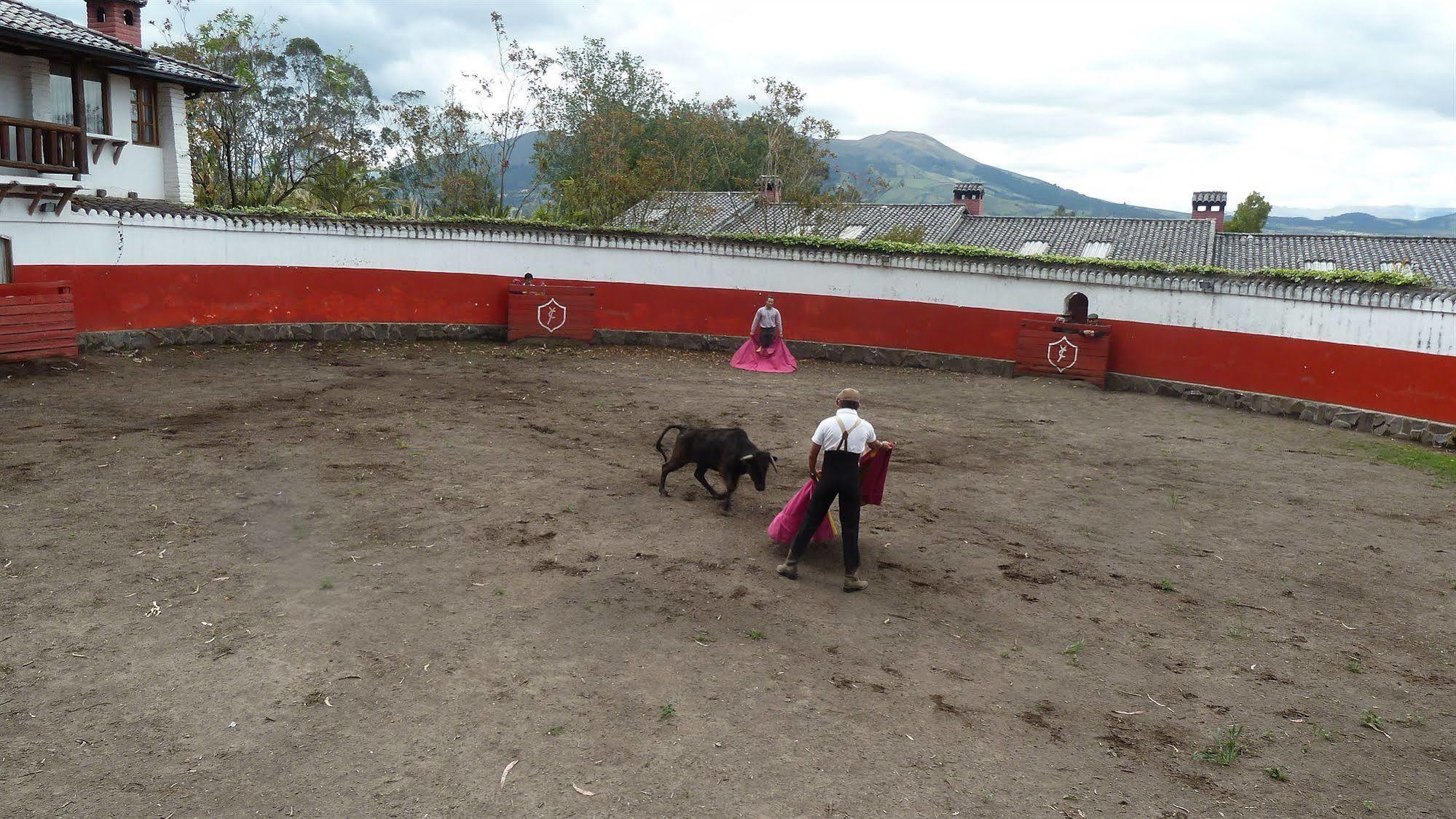 Hacienda Hosteria San Luis Cayambe Esterno foto