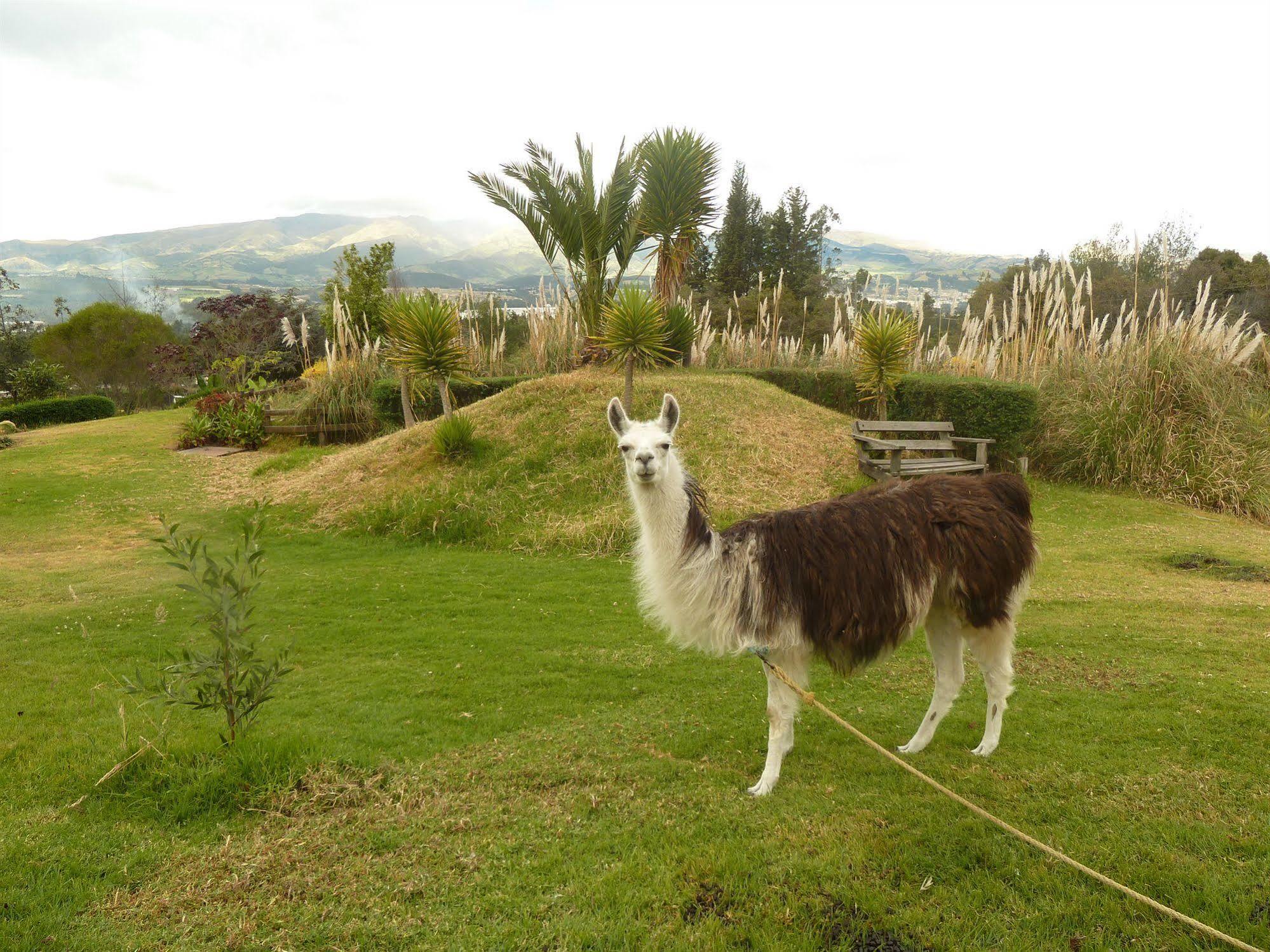 Hacienda Hosteria San Luis Cayambe Esterno foto